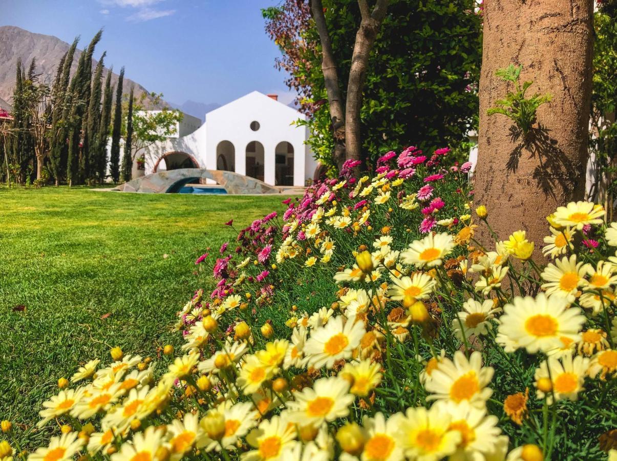 Casa Hotel Mamaluna Lunahuaná Dış mekan fotoğraf