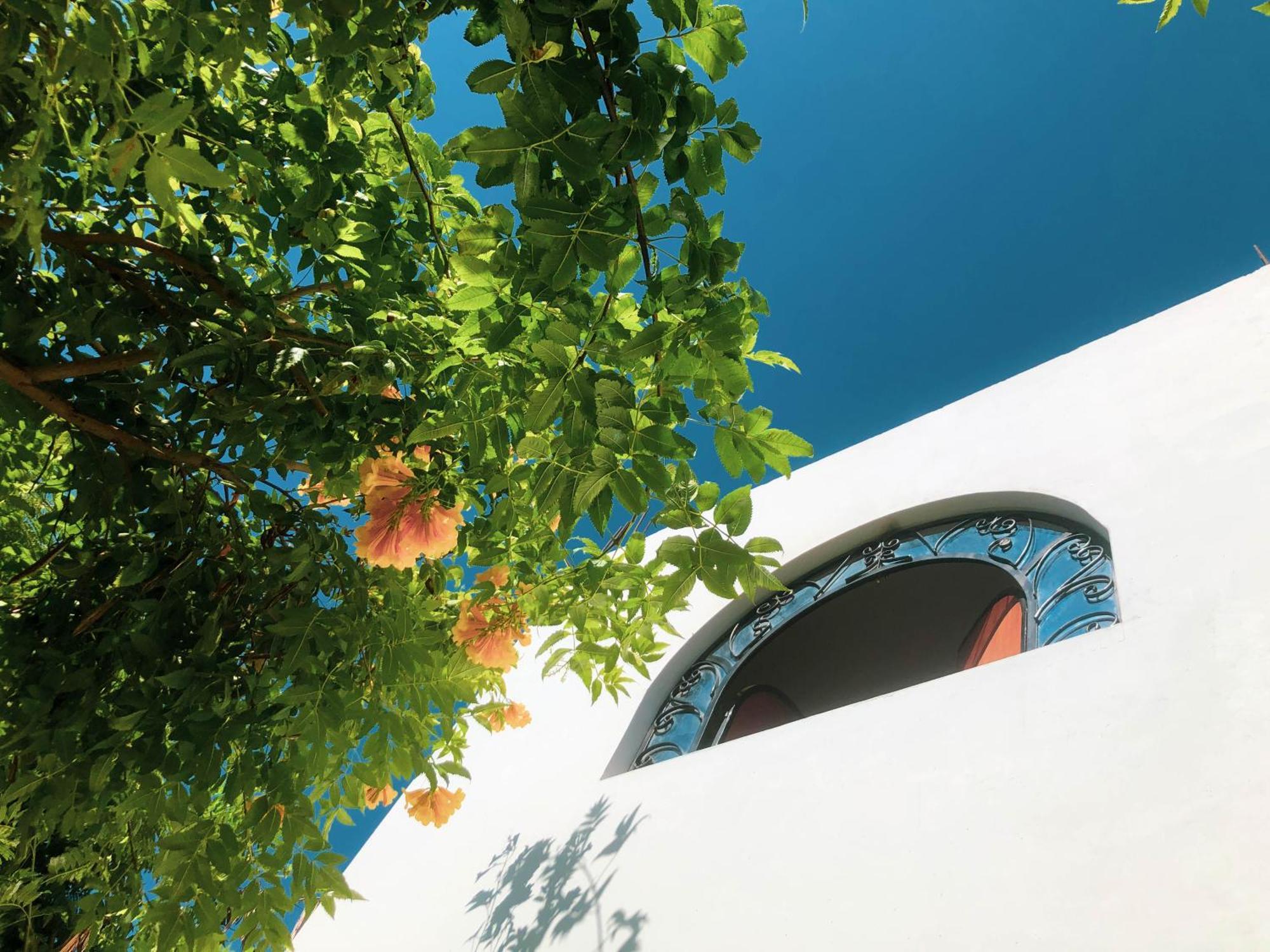 Casa Hotel Mamaluna Lunahuaná Dış mekan fotoğraf
