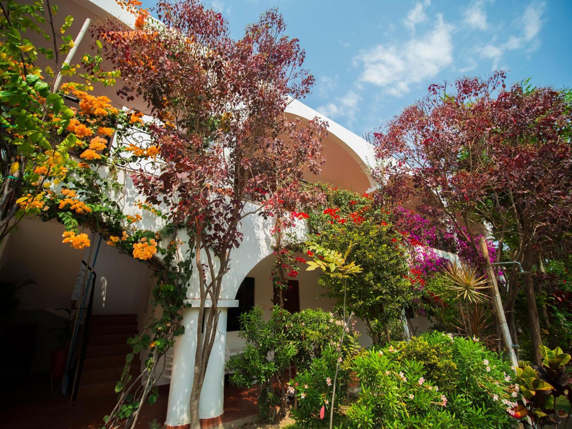 Casa Hotel Mamaluna Lunahuaná Dış mekan fotoğraf