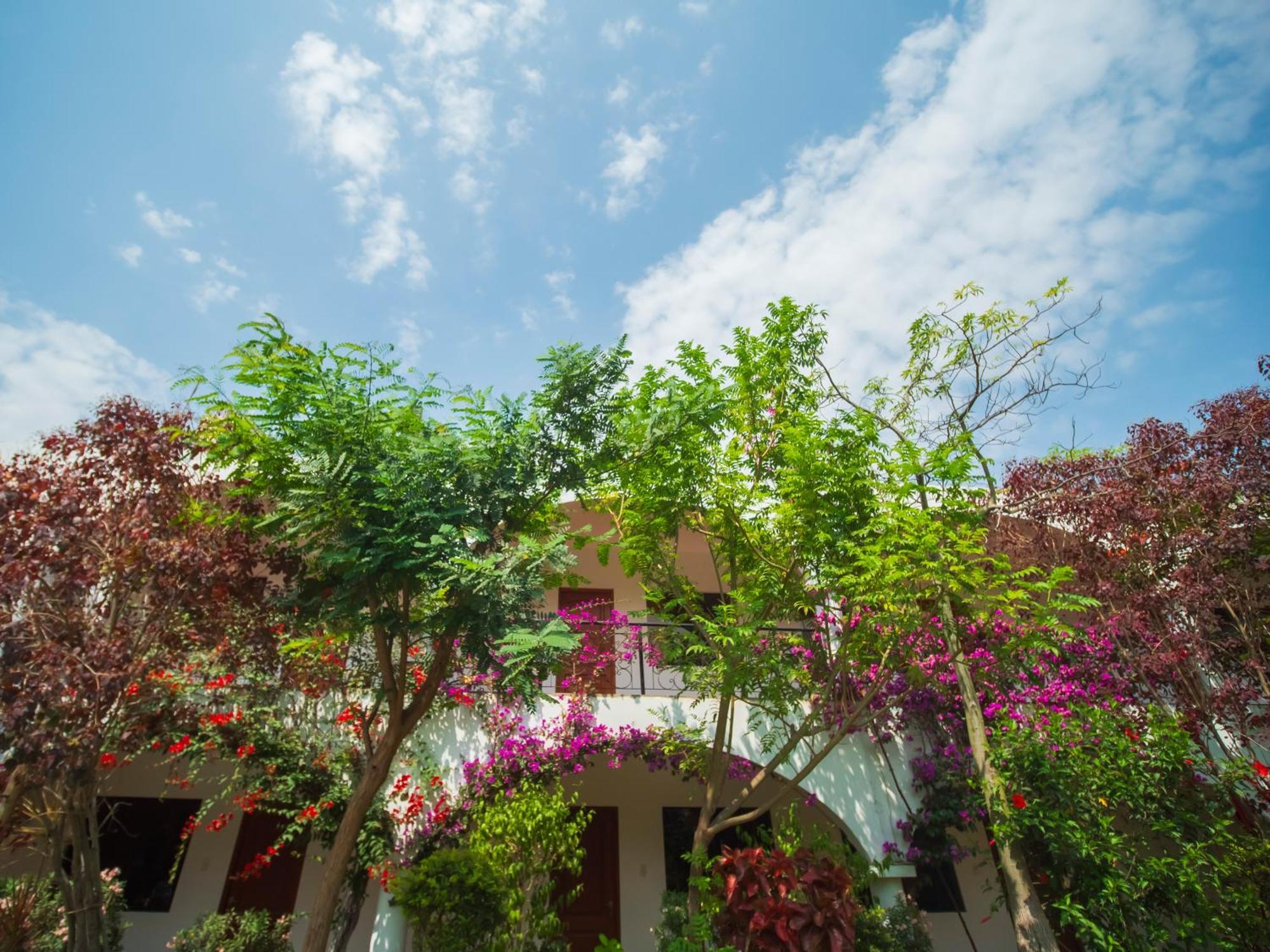 Casa Hotel Mamaluna Lunahuaná Dış mekan fotoğraf
